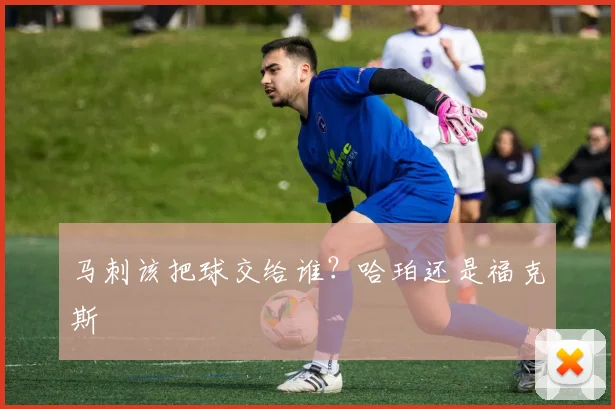 马刺该把球交给谁?哈珀还是福克斯